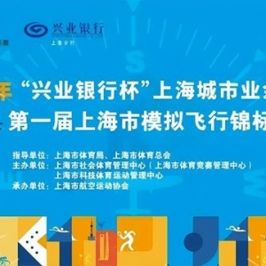 上海城市業(yè)余聯(lián)賽第一屆上海市模擬飛行錦標賽開始報名