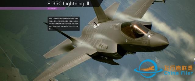 《皇牌空戰7：未知空域》全飛機圖鑒-8112