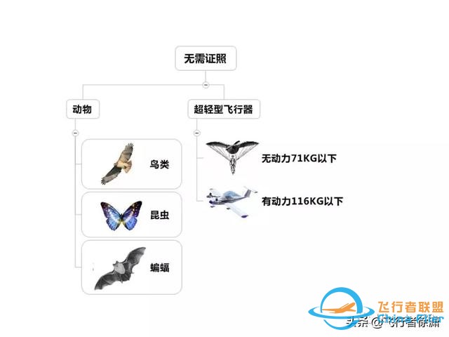 學(xué)習(xí)飛行的初級入門知識！-6221