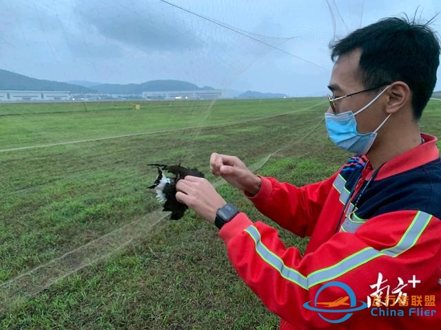 保障航空器飛行安全，珠海機場探索“智慧 生態”驅鳥方式-2165