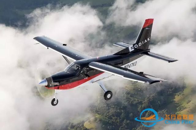 探尋Kodiak 100的多用途基因-8372