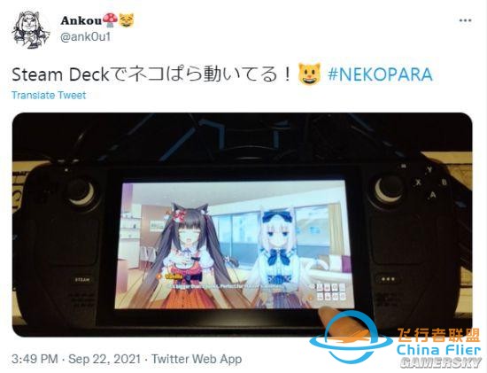 開發者陸續收到Steam Deck 完美運行表現良好-294