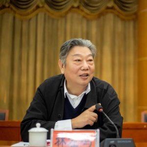 林左鳴：發(fā)展通用航空，需要知道的四個故事