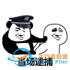 這也太剛了！為讓飛行模擬更真實，開發者購買戰斗機說明書遭逮捕-8885