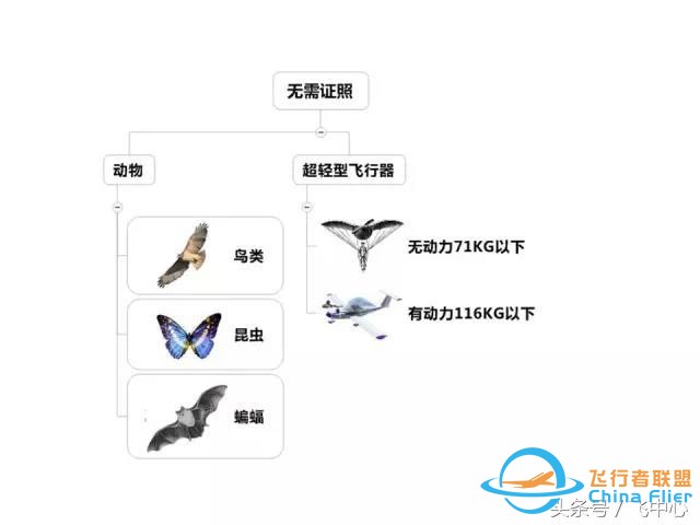 簡單易懂的適航知識 飛行小白看過來-3326