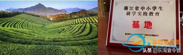 莫干山體驗航空的驚險，騎行的樂趣，自然的美妙，探險的收獲-2909
