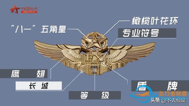 科普飛行員胸前標識的“玄機”？細節滿滿！知識滿滿-7960