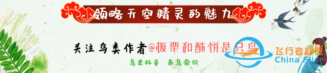 鳥類強大的飛行能力背后，做了哪些犧牲？一文了解飛行的秘密-7864