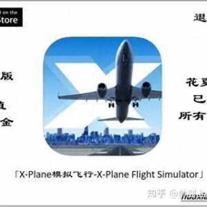 iOS游戲推薦：專業(yè)模擬飛行