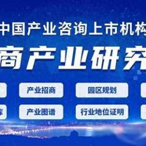 2024年中國通用航空行業(yè)市場前景預(yù)測研究報告（簡版）
