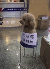 啥是“低空經濟”，她能飛起來嗎？-2157