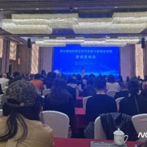 大力招引通用航空產業集群，這一國際低空經濟總部落地羅湖