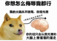 《微軟飛行模擬2024》評測9.0分系列飛躍，對中文玩家最好的一代-2697