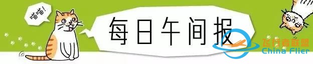 貓狗是兩種個(gè)性迥異的寵物，但在這一點(diǎn)上卻能達(dá)成共識丨每日午間報(bào)-398
